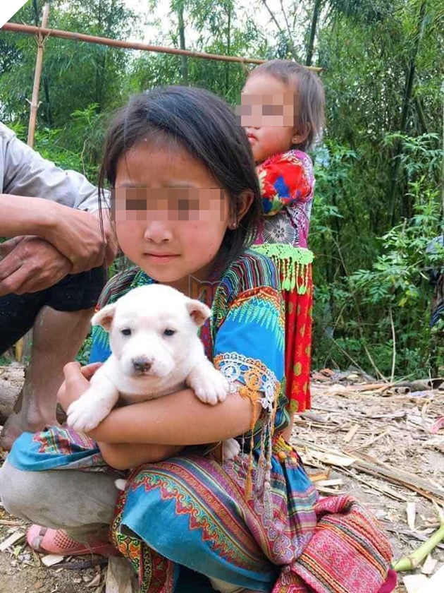Bố mẹ bán chó khi hết tiền vì dịch, cô bé đuổi theo nhất quyết níu lại: Chú đừng bắt con chó này của cháu, cháu không bán đâu