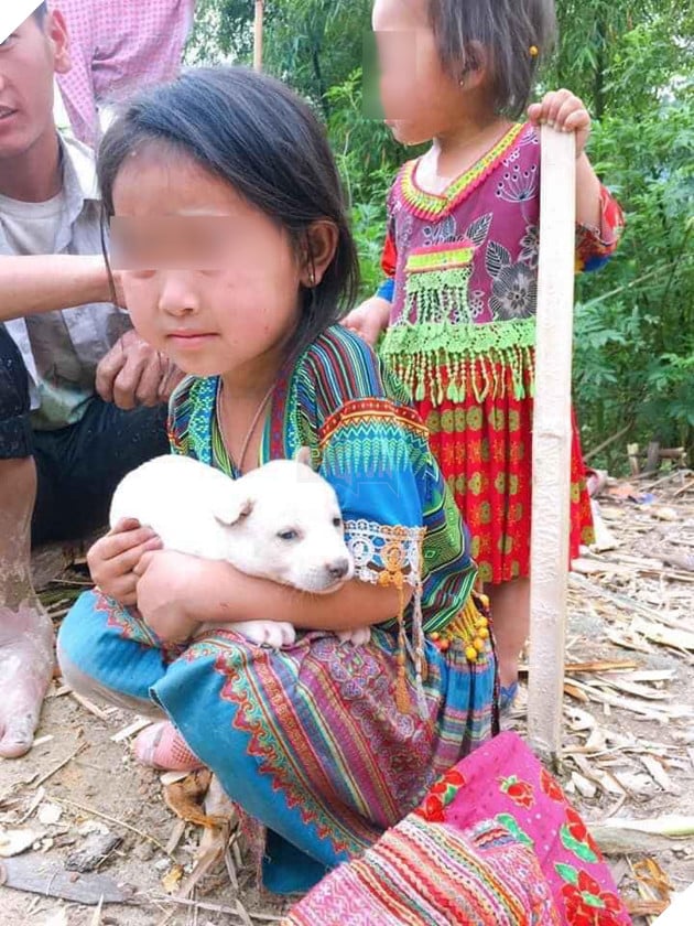 Bố mẹ bán chó khi hết tiền vì dịch, cô bé đuổi theo nhất quyết níu lại: Chú đừng bắt con chó này của cháu, cháu không bán đâu 2