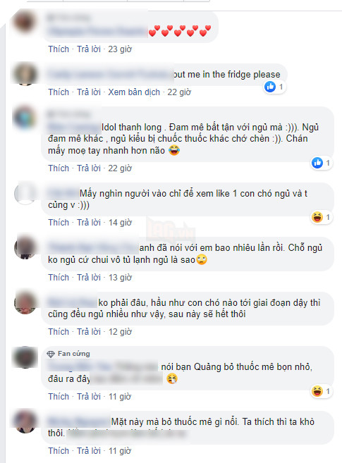 Chủ &quot;đại boss&quot; Candy với hơn 90.000 fans bất ngờ đăng đàn phân trần chuyện cho thú cưng uống thuốc mê để... câu like - Ảnh 4.