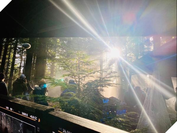 The Witcher hé lộ bức ảnh phim trường Season 2 trước mùa COVID-19 2