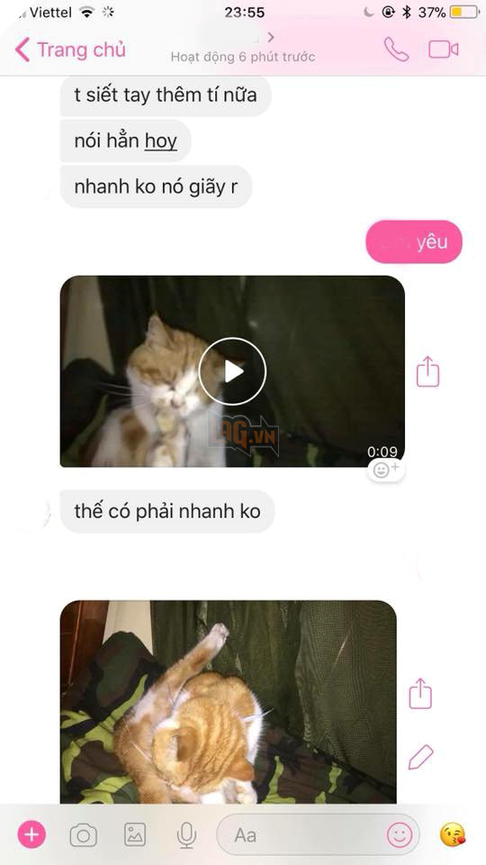 
Lời đầu hàng dễ thương: "Yêu".