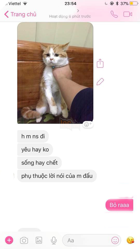 
Yêu hay không yêu? Không yêu hay yêu nói 1 lời?