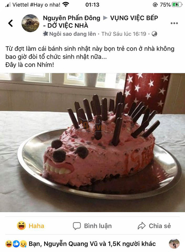 Loạt ảnh đồ ăn dở khóc dở cười của cư dân mạng Việt trong những ngày cách ly - Ảnh 11.