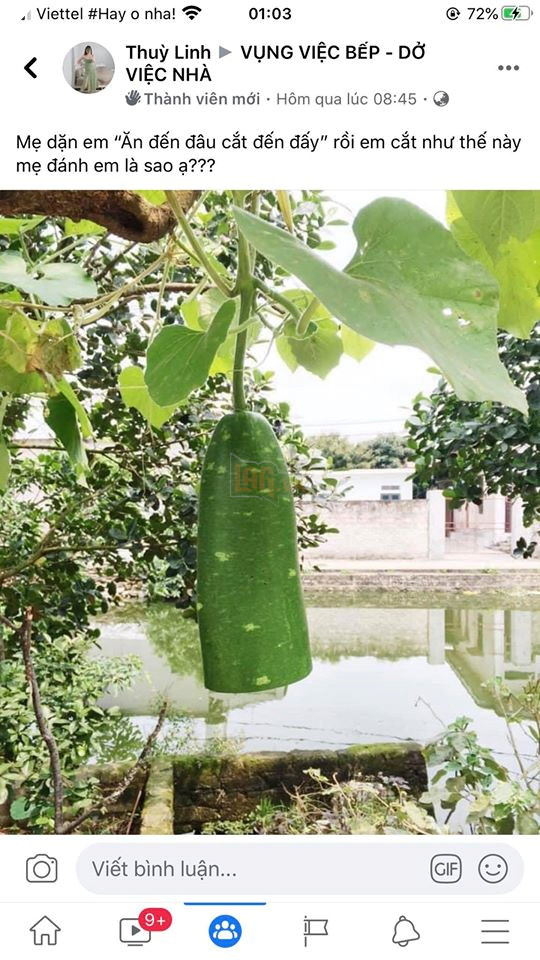 Loạt ảnh đồ ăn dở khóc dở cười của cư dân mạng Việt trong những ngày cách ly - Ảnh 13.