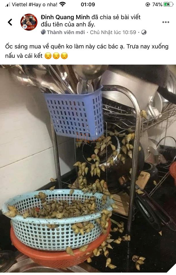 Loạt ảnh đồ ăn dở khóc dở cười của cư dân mạng Việt trong những ngày cách ly - Ảnh 16.