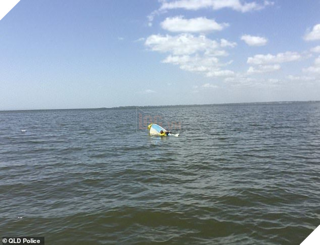 Cảm động chú chó bơi hơn 11 tiếng đồng hồ để tìm người cứu chủ