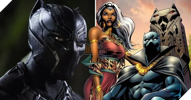 Black Panther 2 sẽ giới thiệu gương mặt dị nhân hoàn toàn mới?  4