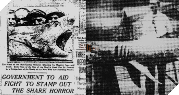 Những sự kiện có thật trong các bộ phim phim kinh dị nổi tiếng 4