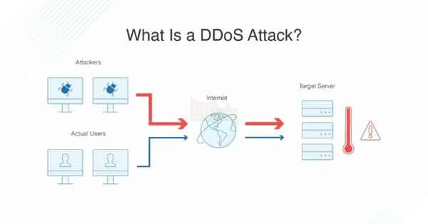 Làm sao để tránh bị tấn công DoS và DDoS?