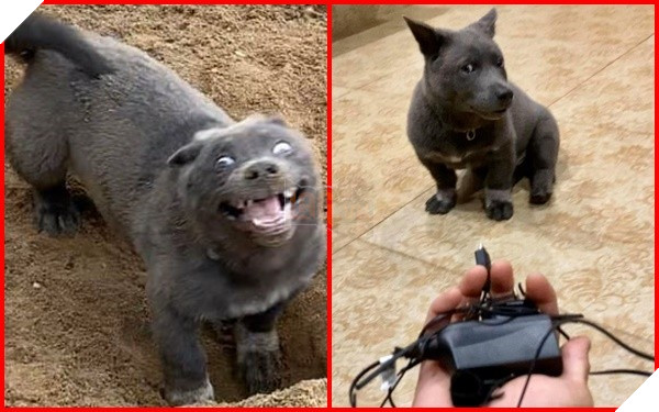 Idol Nguyễn Văn Dúi trưng bộ mặt nghiêm túc sau màn phá hoại như thể: Tôi không liên quan - Ảnh 1.