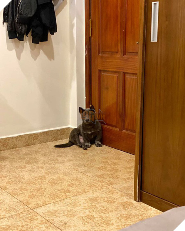 Idol Nguyễn Văn Dúi trưng bộ mặt nghiêm túc sau màn phá hoại như thể: Tôi không liên quan - Ảnh 7.