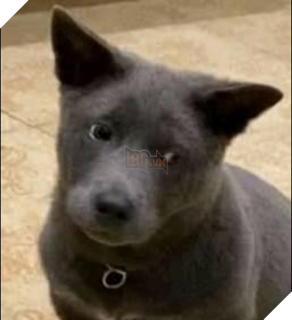 Idol Nguyễn Văn Dúi trưng bộ mặt nghiêm túc sau màn phá hoại như thể: Tôi không liên quan - Ảnh 6.