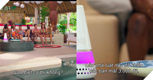 Too Hot to Handle - Show truyền hình 18+ của Netflix bị tố giả tạo, sắp đặt 6