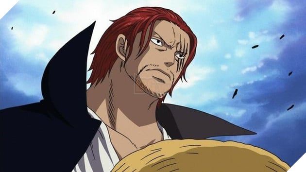 One Piece: 5 hải tặc từ chối ăn trái ác quỷ vì không muốn mất đi khả năng bơi lội - Ảnh 4.