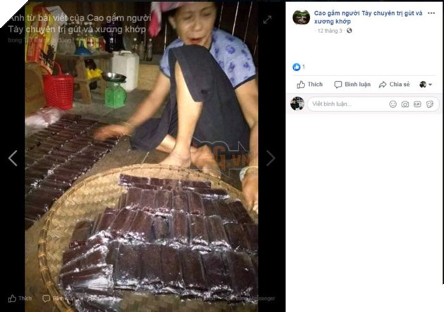 Báo phương Tây tung tin giả Việt Nam ăn mèo đen để chữa Covid 3