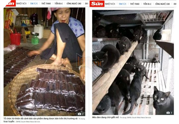 Báo phương Tây tung tin giả Việt Nam ăn mèo đen để chữa Covid 2