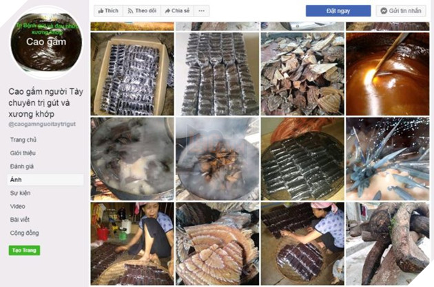 Báo phương Tây tung tin giả Việt Nam ăn mèo đen để chữa Covid 4