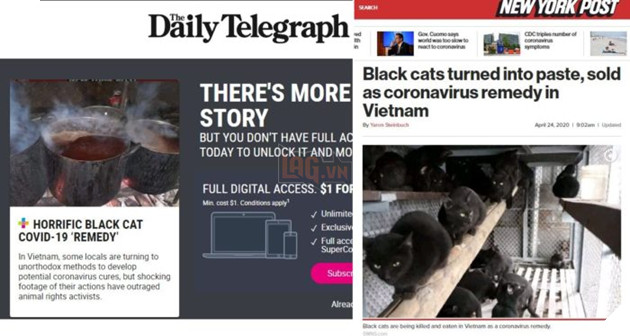 Báo phương Tây tung tin giả Việt Nam ăn mèo đen để chữa Covid