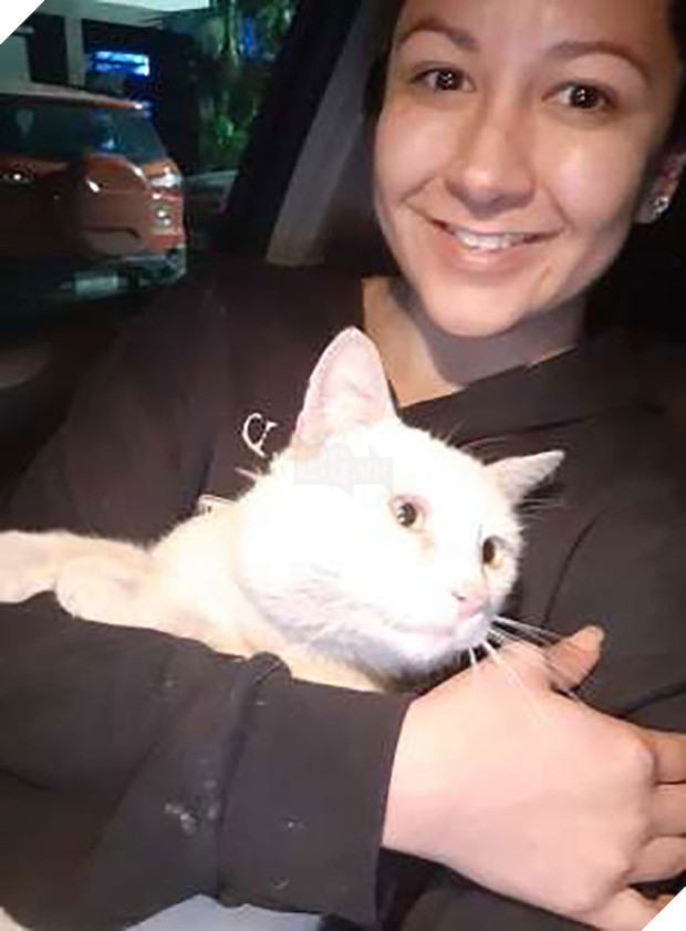 Góc lên đời: mèo hoang dụ người lạ mua đồ ăn rồi nghiễm nhiên được rước về làm boss để cung phụng - Ảnh 4.