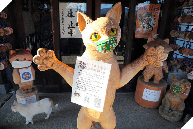 Ngôi đền đặc biệt ở Nhật Bản được mệnh danh là Đền Mèo, trụ trì tự tay làm khẩu trang cho hàng trăm chú mèo gỗ từ tã lót trẻ em - Ảnh 8.