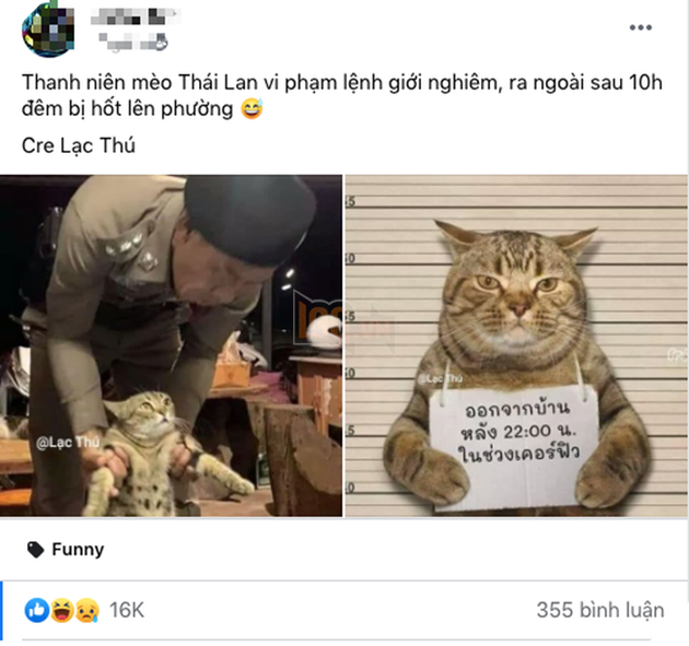 &quot;Quàng thượng&quot; vi phạm lệnh giới nghiêm nửa đêm bị hốt lên phường, nhưng nhìn hậu quả ai cũng phì cười - Ảnh 1.