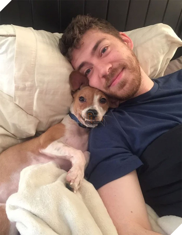 tinh huong "do khoc do cuoi" khi bi cho, meo cung chiem cho tren giuong ngu hinh 7