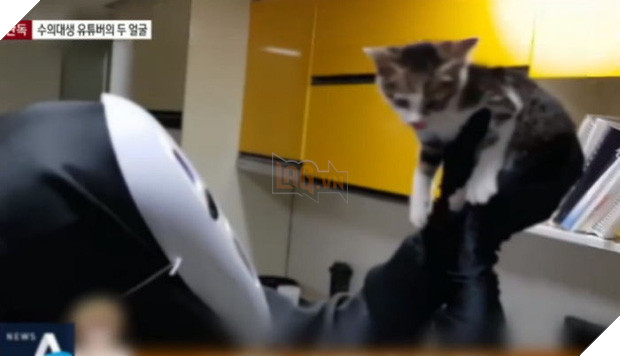 Youtuber nổi tiếng xứ Hàn bị tố bỏ đói, hành hạ động vật tàn nhẫn để câu view khiến cộng đồng mạng phẫn nộ - Ảnh 3.