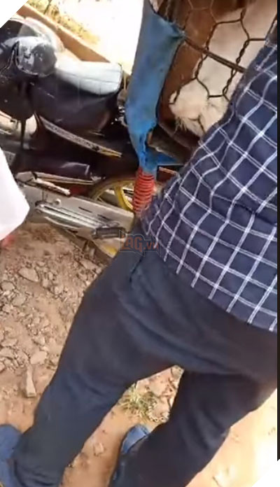 Số phận của chú chó mang bầu được giải cứu sau màn cự cãi tay đôi với người buôn chó ‘chảnh chọe’