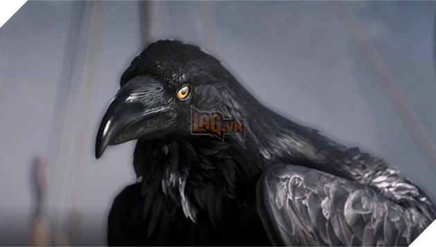 Assassin's Creed Valhalla - Ubisoft hé lộ chi tiết mới về Eagle Vision 2