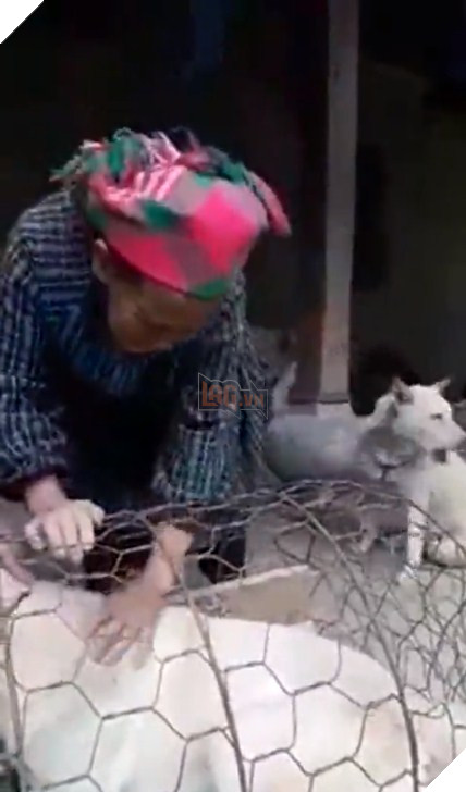 Bà cụ vùng cao khóc nức nở khi bán chó vì không có tiền, người hảo tâm đã giúp bà đoàn tụ lại chú chó: Bà sẽ không bán nó nữa đâu 2