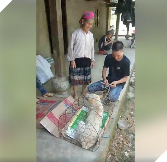 Bà cụ vùng cao khóc nức nở khi bán chó vì không có tiền, người hảo tâm đã giúp bà đoàn tụ lại chú chó: Bà sẽ không bán nó nữa đâu 4