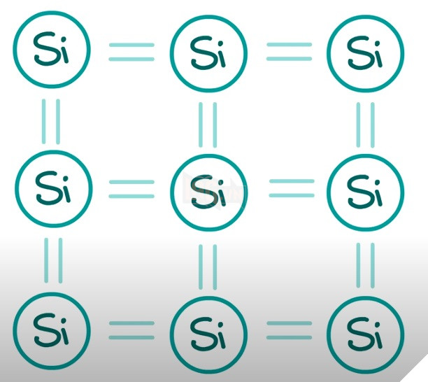 Bạn có biết nhờ loài mèo chúng ta mới có internet? - Ảnh 4.