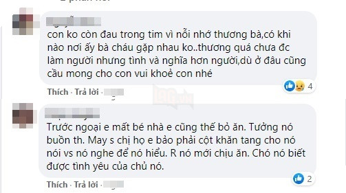  
Những chia sẻ xúc động từ cư dân mạng. (Ảnh chụp màn hình)