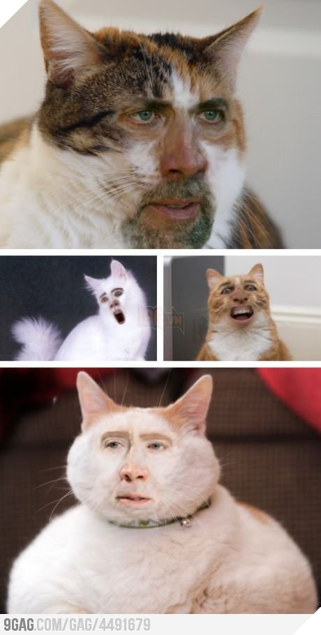 LOL! Nicholas cage in what I assume will be Face Off 2. This just made my day!