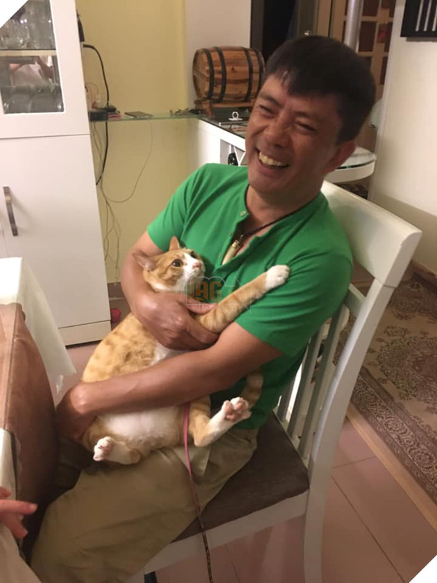 Biểu cảm đầy cảnh giác của boss khi lần đầu tiên được bố sen cưng nựng gây sốt MXH, thì ra lũ mèo có rất nhiều chiêu để lấy lòng phụ huynh! 2