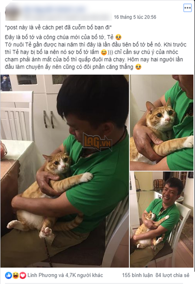 Chết cười với biểu cảm đề phòng của hoàng thượng khi lần đầu tiên được bố của sen bế, thì ra những chú mèo đều có cách đặc biệt để lấy lòng phụ huynh! - Ảnh 1.