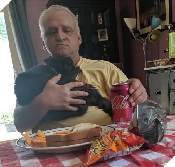 Biểu cảm đầy cảnh giác của boss khi lần đầu tiên được bố sen cưng nựng gây sốt MXH, thì ra lũ mèo có rất nhiều chiêu để lấy lòng phụ huynh! 5