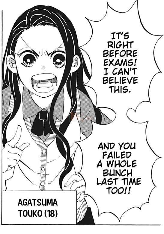 Kết thúc Kimetsu no Yaiba, 6 nhân vật dưới đây đã được tác giả ngầm thừa nhận thành đôi với nhau - Ảnh 5.