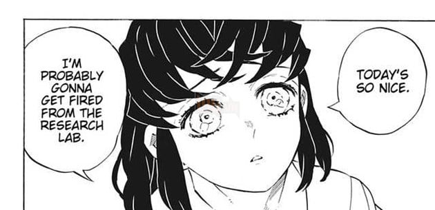 Kết thúc Kimetsu no Yaiba, 6 nhân vật dưới đây đã được tác giả ngầm thừa nhận thành đôi với nhau - Ảnh 7.