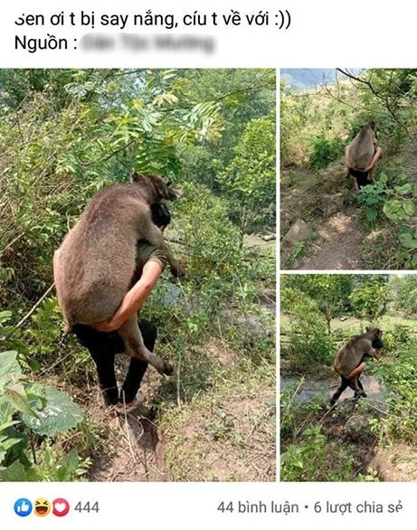  
Hiện chưa rõ lý do gì mà chú nghé được chủ cõng miệt mài trên lưng giữa trời nắng gắt như vậy. (Ảnh: Chụp màn hình)