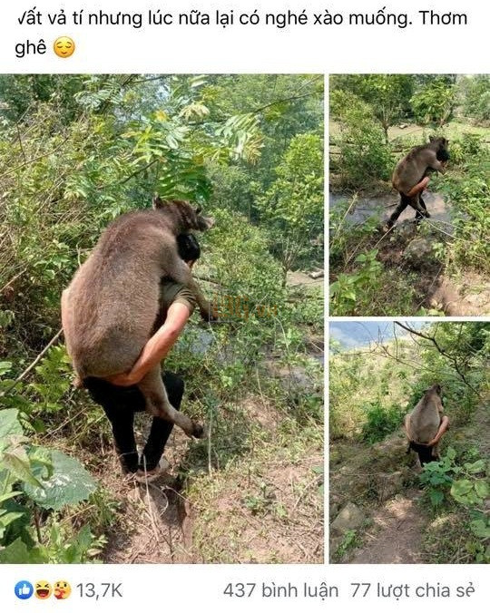  
Cư dân mạng hài hước "chế" lời cho hình ảnh này. (Ảnh: Chụp màn hình)