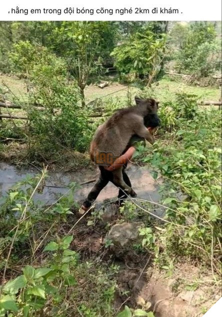  
Hình ảnh được chia sẻ trên một nhóm kín khác. (Ảnh: Chụp màn hình)