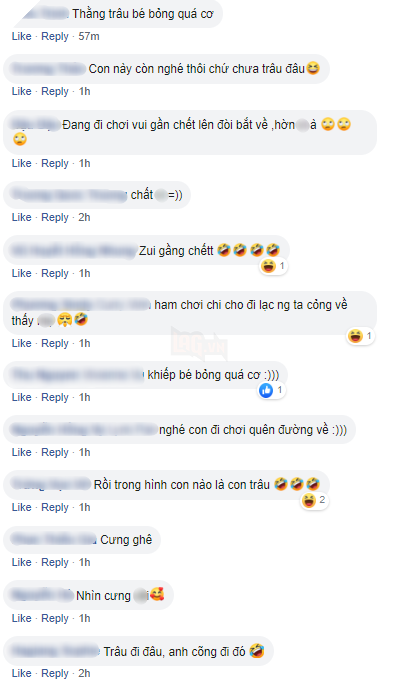  
Ý kiến cộng đồng mạng. (Ảnh: Chụp màn hình)