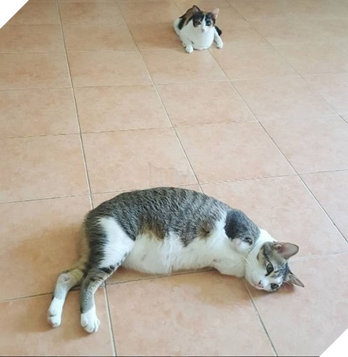 Tranh thủ nghỉ xả hơi.