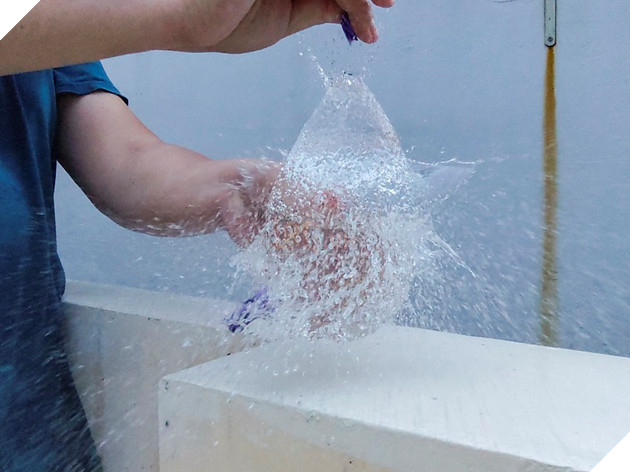 Trên tay nhanh Bphone 86, chiếc smartphone mang đến trải nghiệm không giới hạn cho người dùng 22