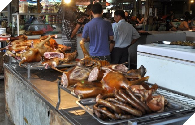 Liên minh bảo vệ chó châu Á đề nghị Việt Nam cấm giết mổ và tiêu thụ thịt chó, mèo 1