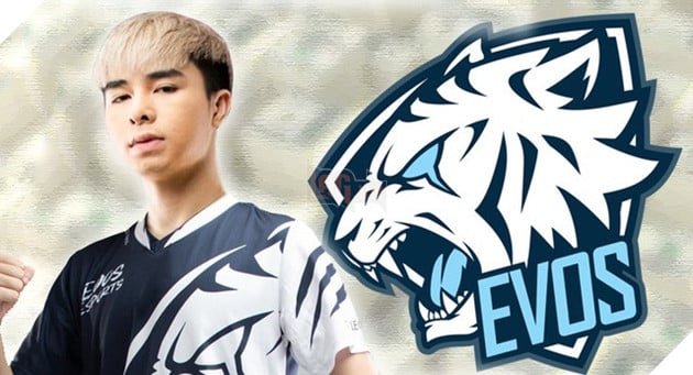 Admin Fanpage EVOS liên tục thả thính, Zeros chắc chắn sẽ trở thành tân binh của Bạch Hổ? - Ảnh 5.