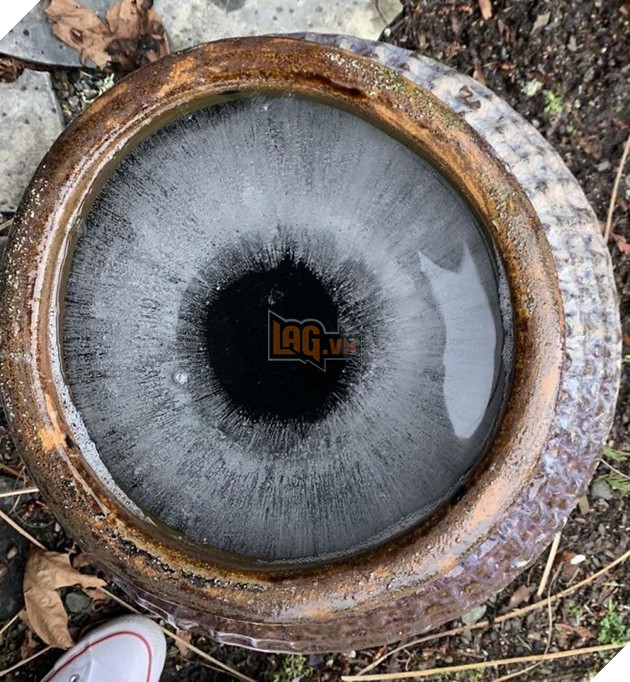 Loạt ảnh thiên nhiên kỳ lạ version phim kinh dị khiến người xem nổi da gà  11