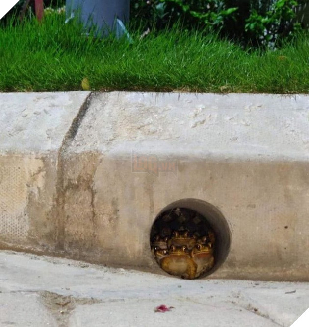 Loạt ảnh thiên nhiên kỳ lạ version phim kinh dị khiến người xem nổi da gà  8