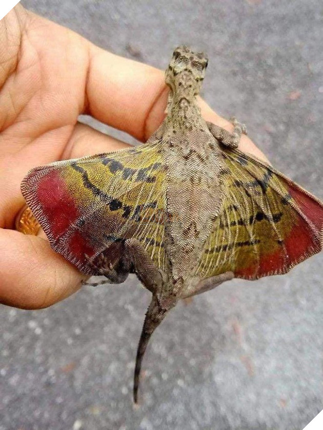 Loạt ảnh thiên nhiên kỳ lạ version phim kinh dị khiến người xem nổi da gà  4